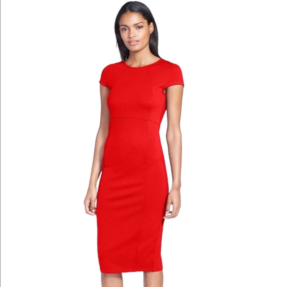Felicity and Coco Pencil Dress